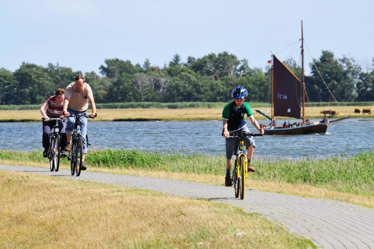 Seestr_54 Nr_304 Zingst Exterior photo